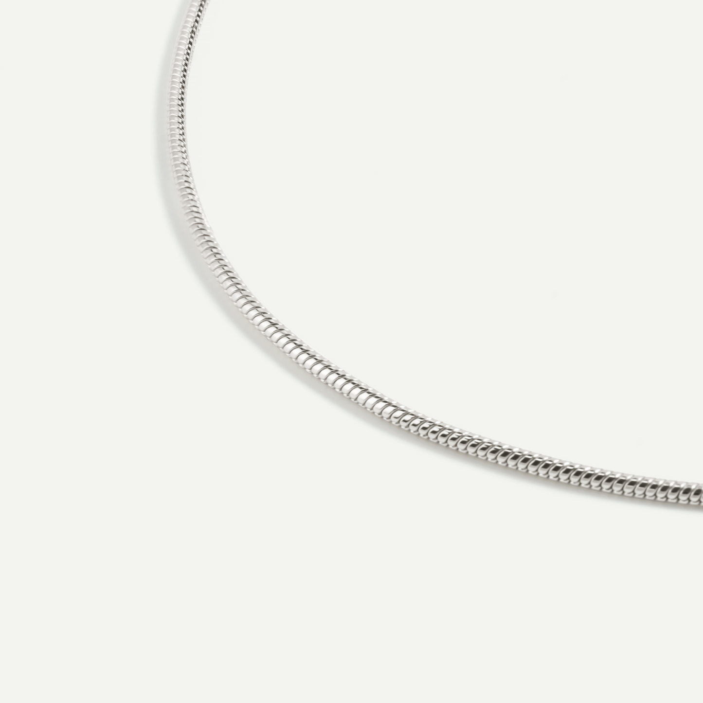 Agate Yuanbao Coin Snake Bone Chain